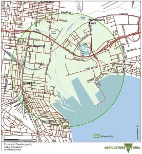 Alert over bee parasite