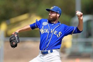 Hammered Williamstown Wolves maintain a winning outlook