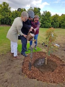 Marian’s tree of life