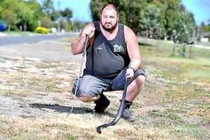 Snakes abound for Stewy