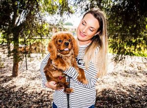 Cavalier spaniels kings for a day