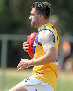Williamstown right at home against Dogs