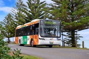 A green route for buses