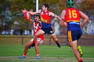 Yarraville Seddons inflict a thumping, close in on top four