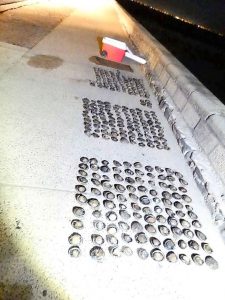 Abalone poachers fined $15,000