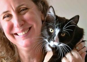 Call for purrfect foster carers