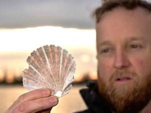 Shucks, a shellfish cure for the bay