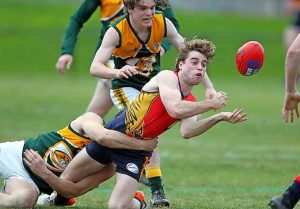 Yarraville Seddon drops a close one but look ahead to the finals