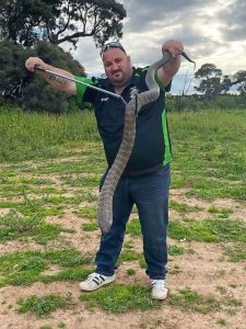 Snake season warning