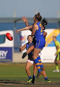 Williamstown forms Adelaide Crows alliance