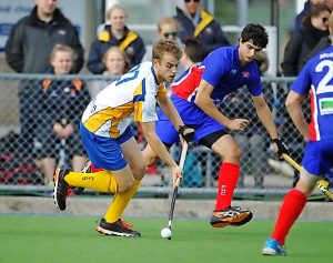 Seagulls at the crossroads