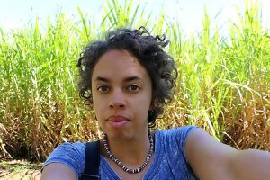 Blackbird takes flight