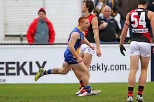 Seagulls forwards too much for Essendon