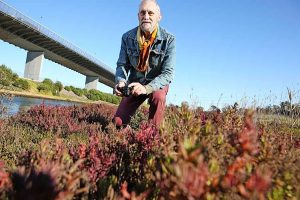 Click away for Stony Creek photo competition