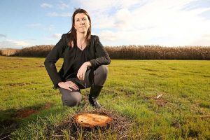 Vandals chop down and remove trees