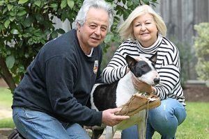 Alice the dog’s expensive taste for footwear