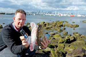 Marine expert gives talk on maritime pollution