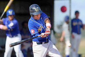 Rogers wants Wolves in big league