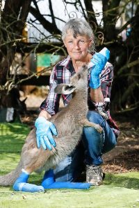 Epping wildlife on the mend