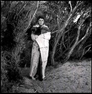 Festival brings talent