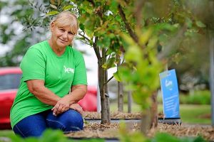 Planting the seeds of gardening knowledge