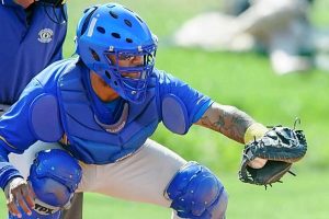 Williamstown Wolves dull the Lions roar