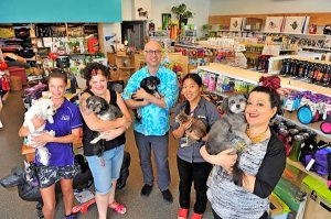 Pet rescue day at West Footscray