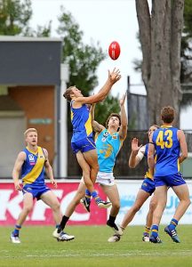 New Seagull makes a fresh start