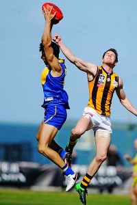 Flags unfurled for Williamstown