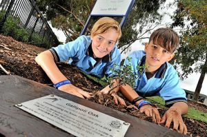 Newport schoolchildren plant Anzac history