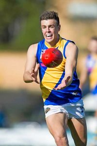 Strong returns for Seagulls duo