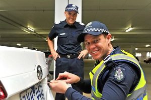 Number plate theft spike spurs anti-theft screws
